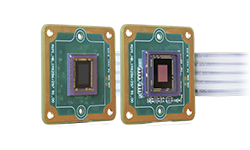 Embeddded Cameras with 2MP On Semi Sensor